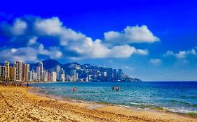 Piscis Of The Sea Benidorm
